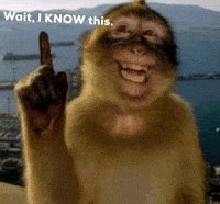 squez_31 wait i know this GIF