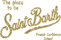 St Barth Glitter Sticker by MC2 Saint Barth