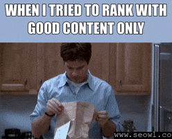 seowl_app seo seowl GIF