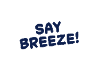 Travel Selfie Sticker by Breeze Airways