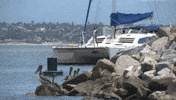 Water Boat GIF by The Bachelorette
