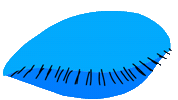 Looking Blue Eye Sticker by youmotion.com