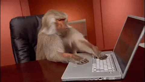 Giphy Monkey Using a Laptop and is Frustrated