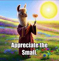 Wisdom Appreciation GIF by dalaillamazen