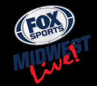 bpvstl fox GIF