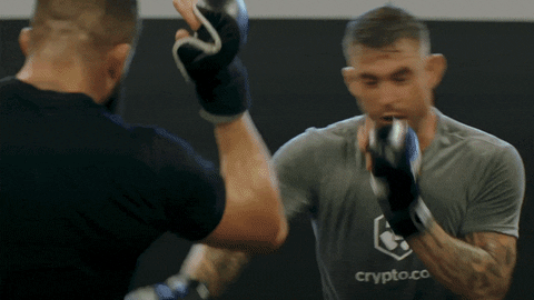 Bitcoin Cryptocurrency GIF by Crypto.com