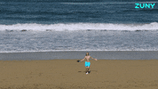Happy Fun GIF by Zuny
