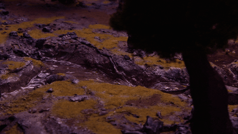 none_D giphyupload stopmotion GIF