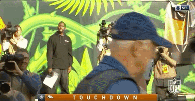 2018 Nfl Football GIF by NFL