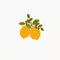 olgalukina summer plant lemon lemon drink GIF