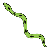Rainbow Snake Sticker by Nico