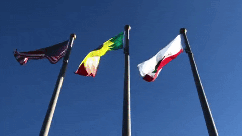 KPCC giphygifmaker los angeles flags city flag GIF