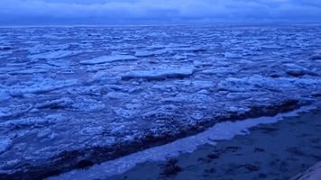 Canadian Tidal Beach Turns Icy