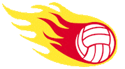 southcoastblaze blaze netball fastball southcoastblaze Sticker