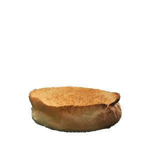 DucasseParis giphyupload vegan burger vegetarian Sticker