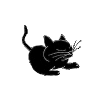 Happy Cat Sticker by Rullampo