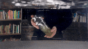 Good Eats Food GIF by BrainFood