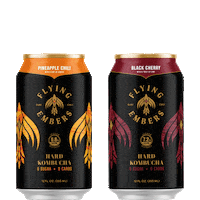 Drunk Cheers Sticker by Flying Embers