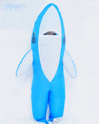 Happy Fun GIF by TV Store Online
