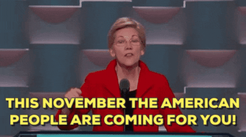 elizabeth warren this november the american people are coming for you GIF by Election 2016
