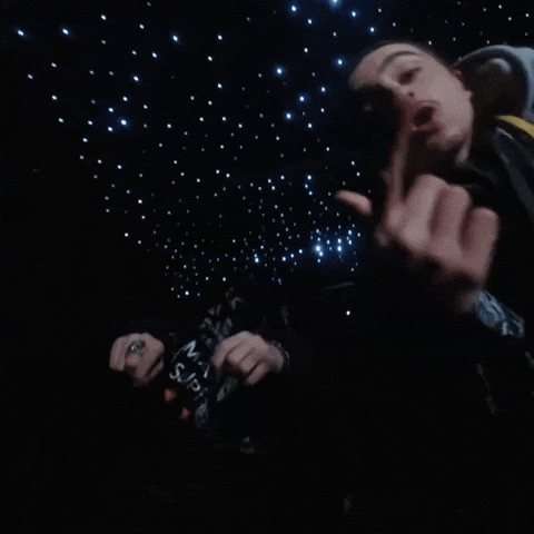 Timothee Chalamet Tchalamet GIF by Respective