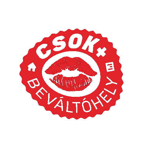 Csok Sticker by TOP3 Ingatlan