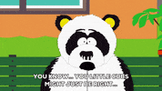 panda talking GIF by South Park 