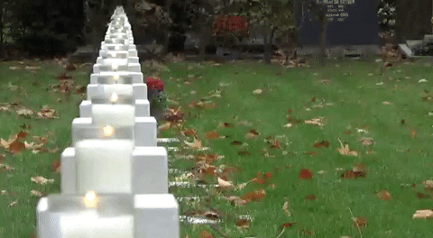 pieterserrien giphyupload GIF