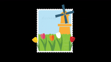 Tuliptime GIF by Discover Holland