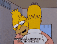 homer simpson GIF