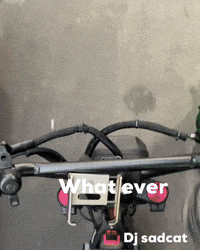 What Ever GIF by dj sadcat