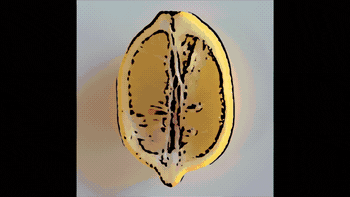 animation nyc GIF by Ryan Seslow