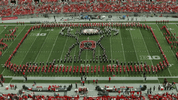 Ohio State Marching Band Buckeyes GIF by tbdbitl