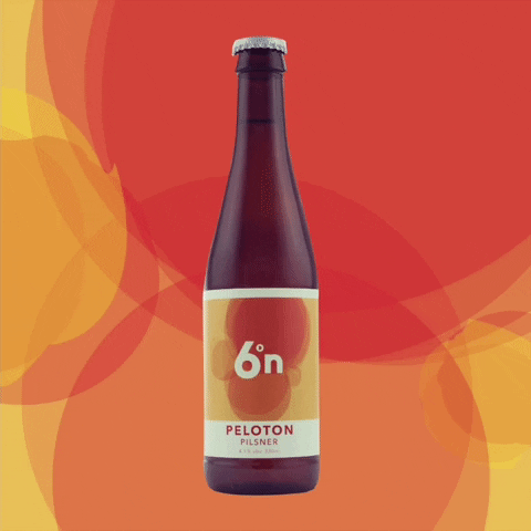 Beer Bottle GIF by Six Degrees North