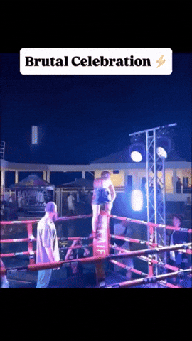 248164ee043244a5801b70cdca89e612 giphyupload GIF