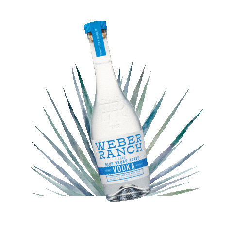 WeberRanchVodka giphyupload Sticker
