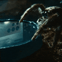 Miss You Love GIF by samsung_de