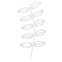 Leaf Leaves Sticker