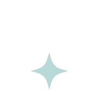 Star Sticker