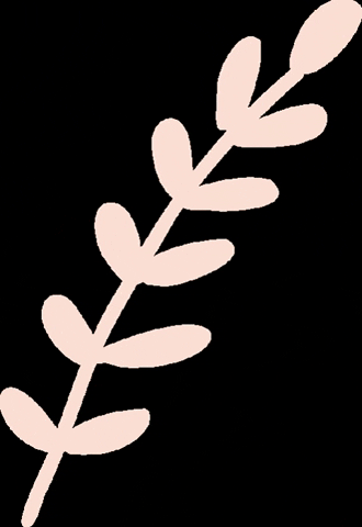 anavicenz giphygifmaker naturaleza arbol hojas GIF