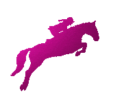 Horse Pony Sticker