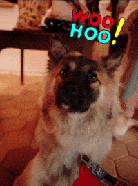 Namu GIF