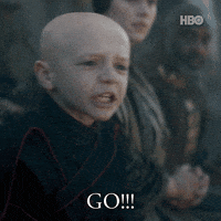 Go A Knight Of The Seven Kingdoms GIF by Game of Thrones