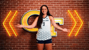 Georgia Tech Volleyball GIF by Georgia Tech Yellow Jackets
