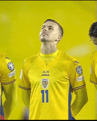 Romania Patriot GIF