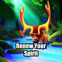 Wisdom GIF by elkijahspark