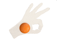 look ok Sticker by The Eggshibit