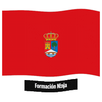 Castilla Y Leon Flag Sticker by Formación Ninja