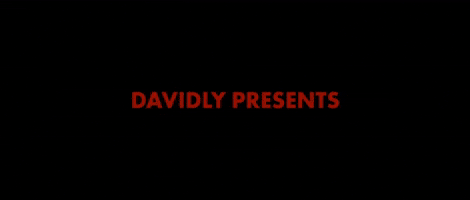 Davidly - Spiders in the Room