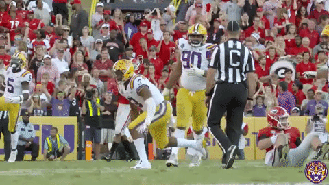 College Sports Sport GIF by LSU Tigers